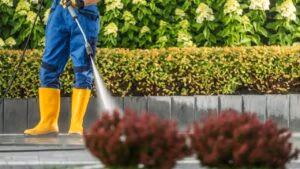 A person in yellow boots pressure washing a driveway behind two red bushes