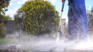 Professional Driveway Pressure Washing