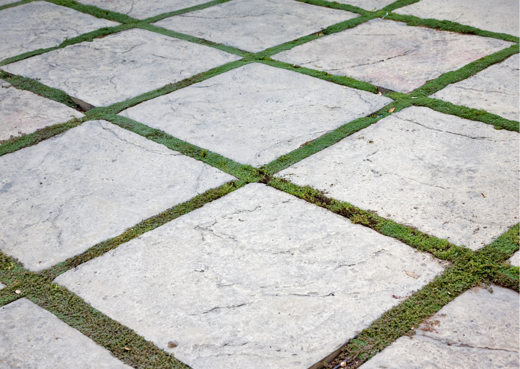 Paver Garden