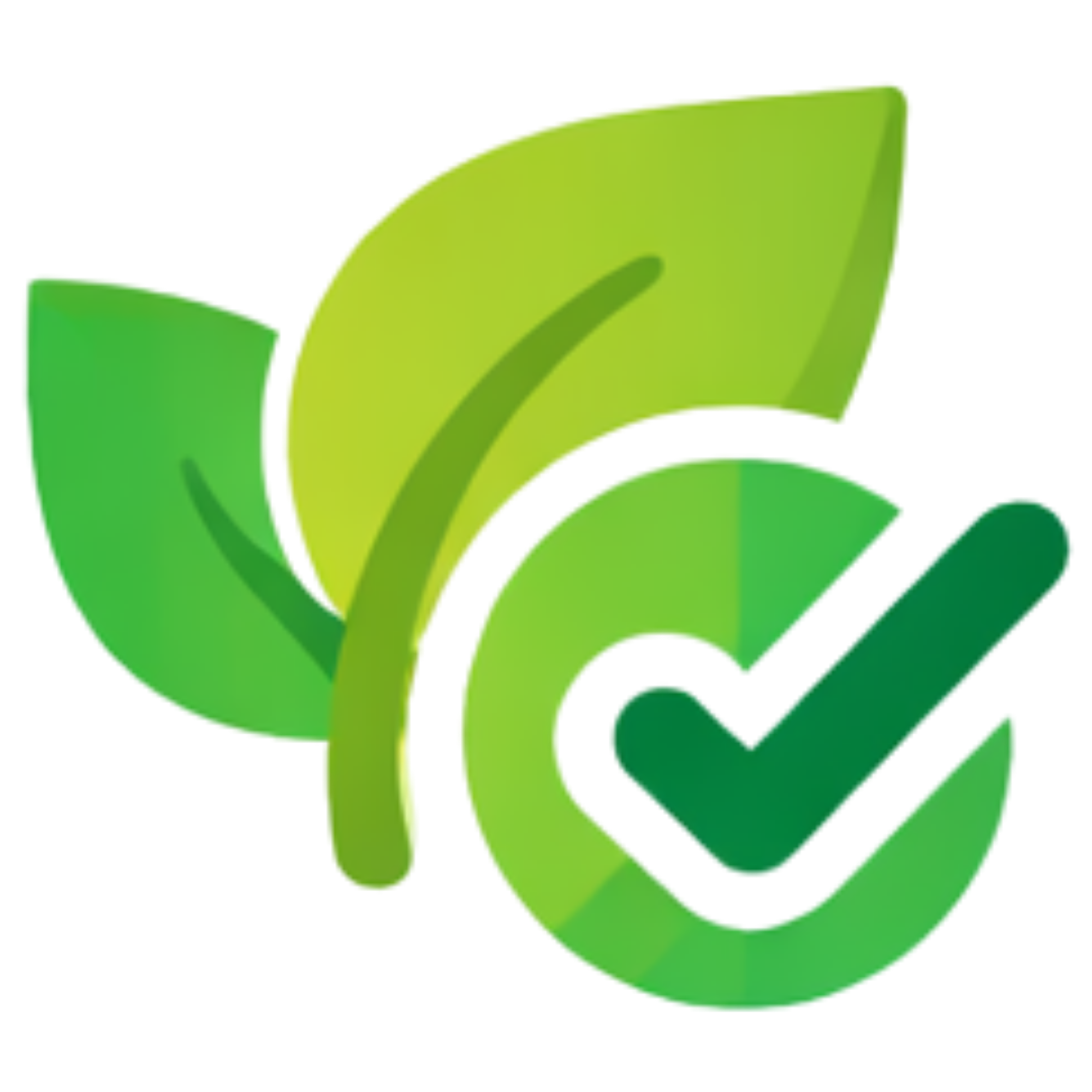 Southwood Pressure Washing Services 3 2