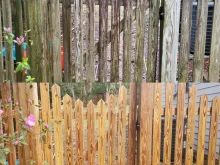 Before and after wood fence cleaning showing removal of dark staining and restoration of natural wood color"
